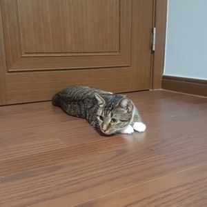 Meet your Posher, Mia